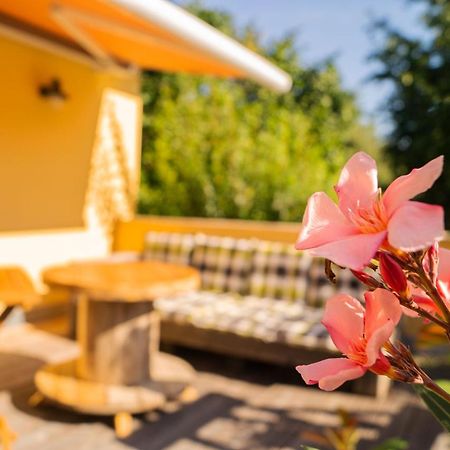 Apartment Sonnenschein Weimar  Zewnętrze zdjęcie