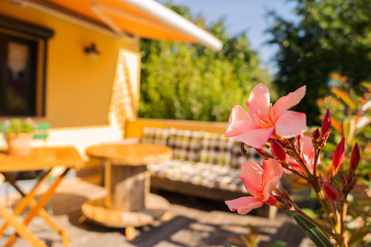 Apartment Sonnenschein Weimar  Zewnętrze zdjęcie